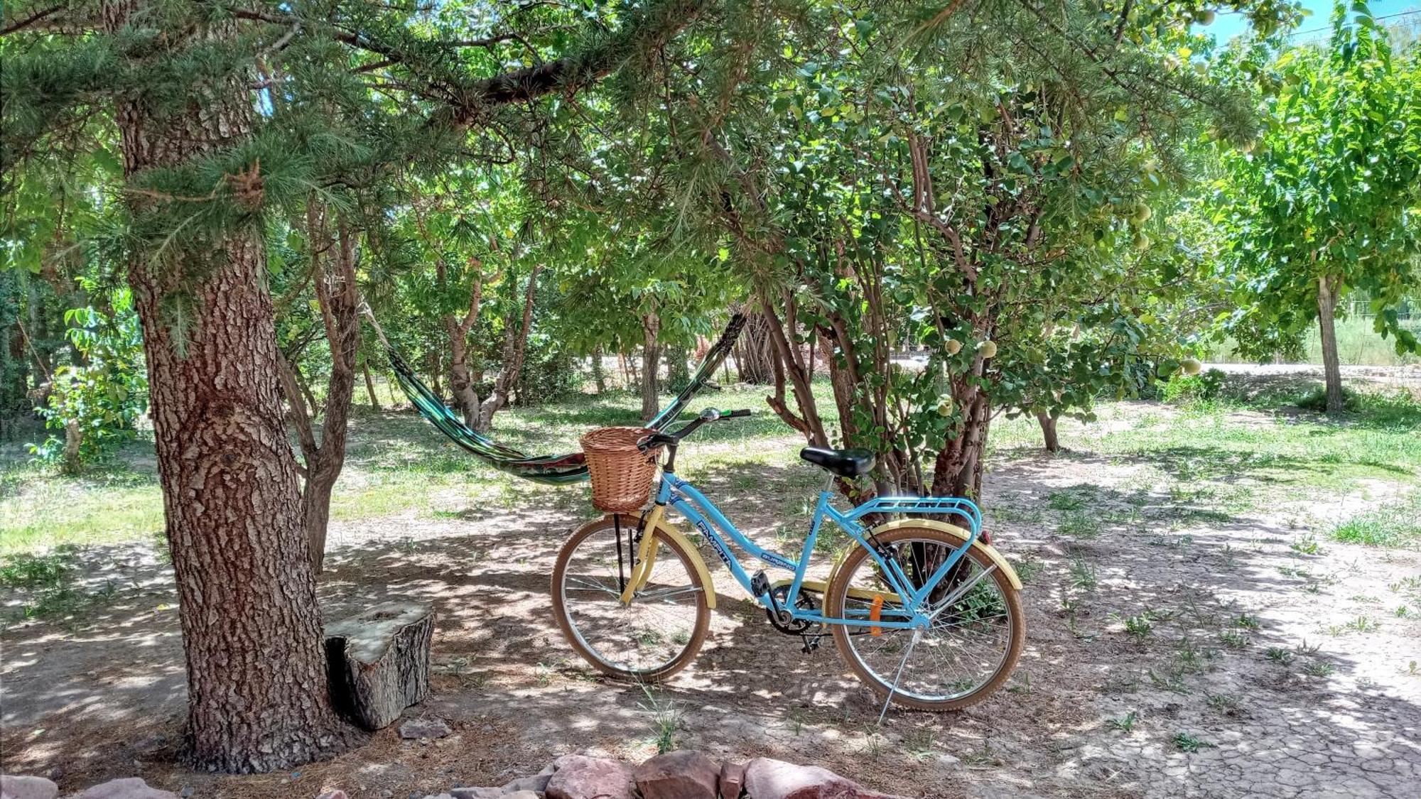Aire De Barreal Hostel Andino 外观 照片
