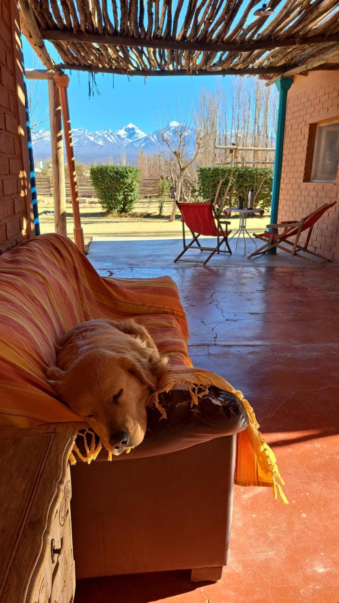 Aire De Barreal Hostel Andino 外观 照片