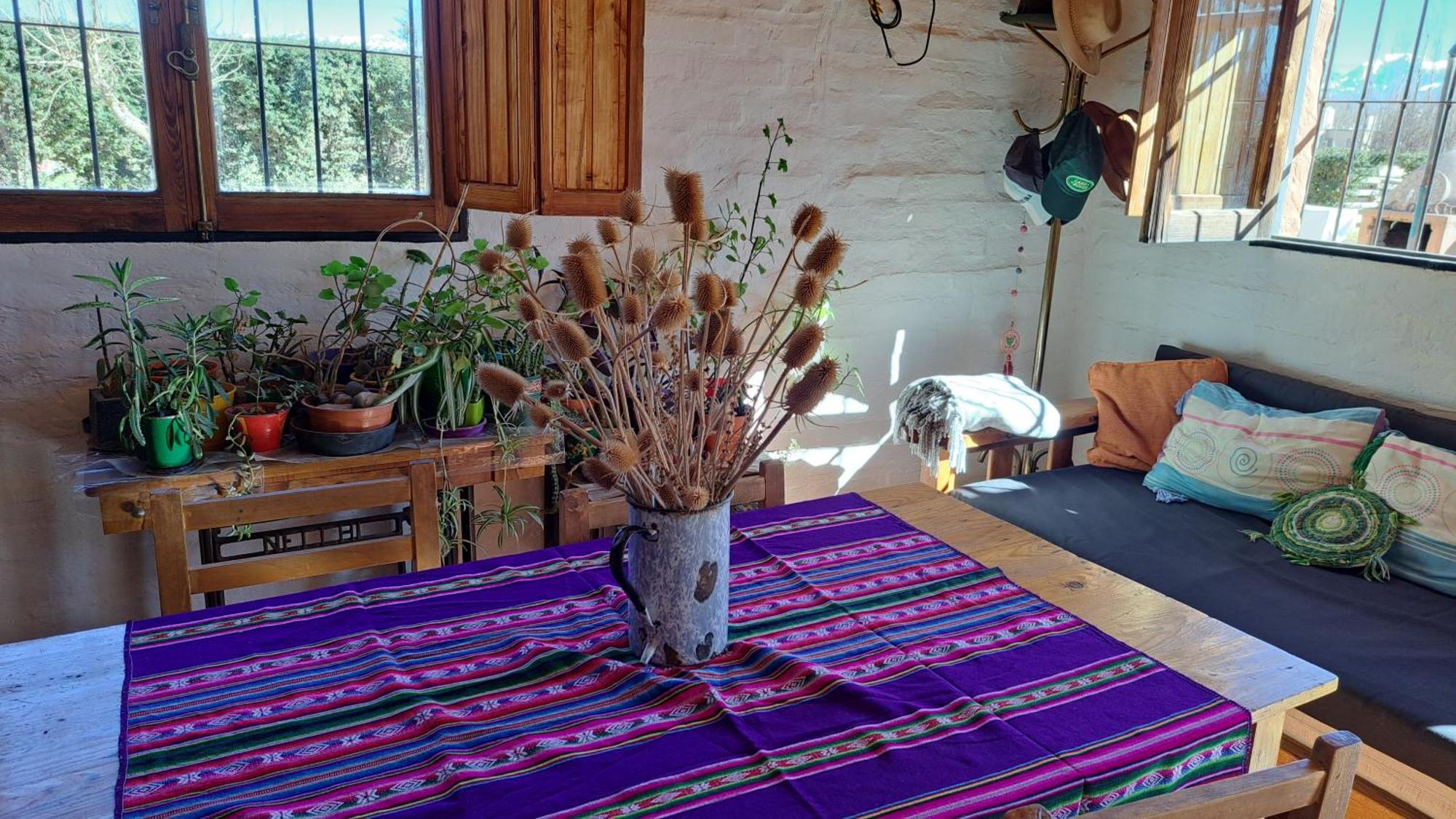 Aire De Barreal Hostel Andino 外观 照片