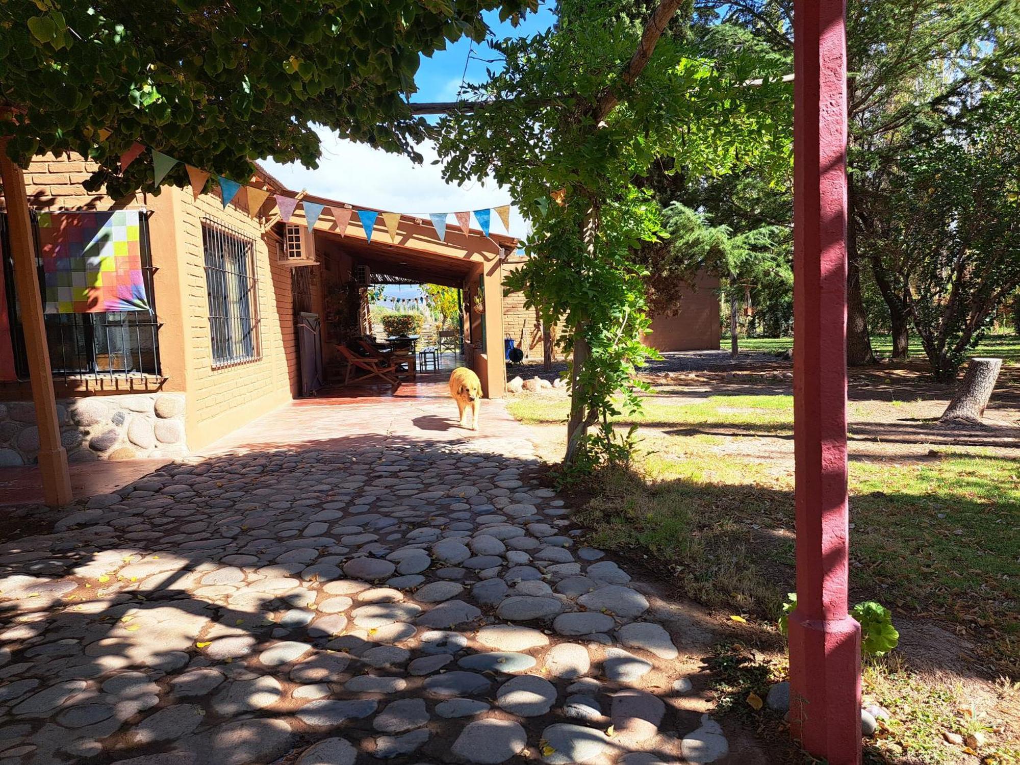 Aire De Barreal Hostel Andino 外观 照片